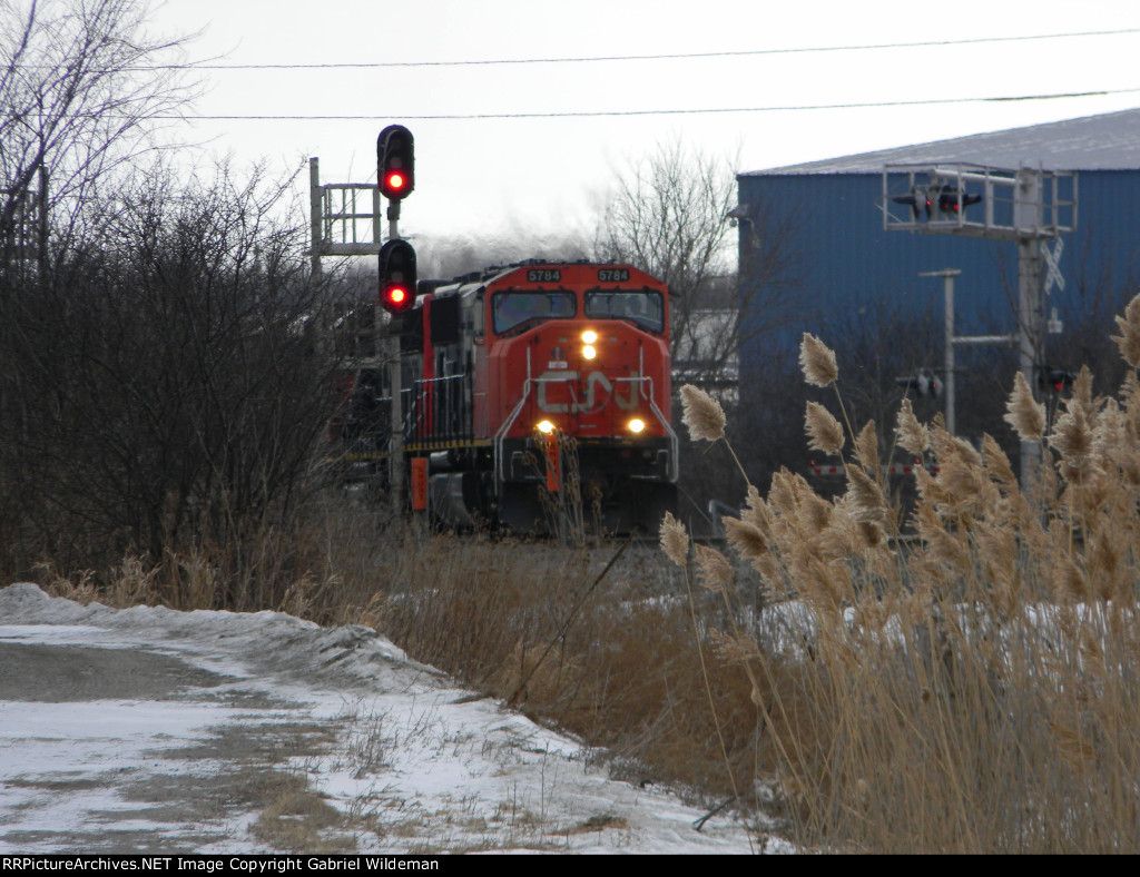 CN 5784